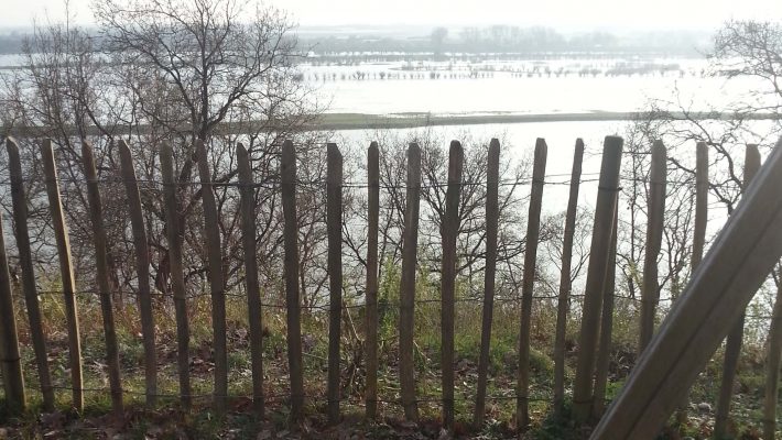 Belmonte Arboretum Wageningen