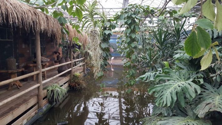 Dierenpark Texel Zoo Oosterend Texel