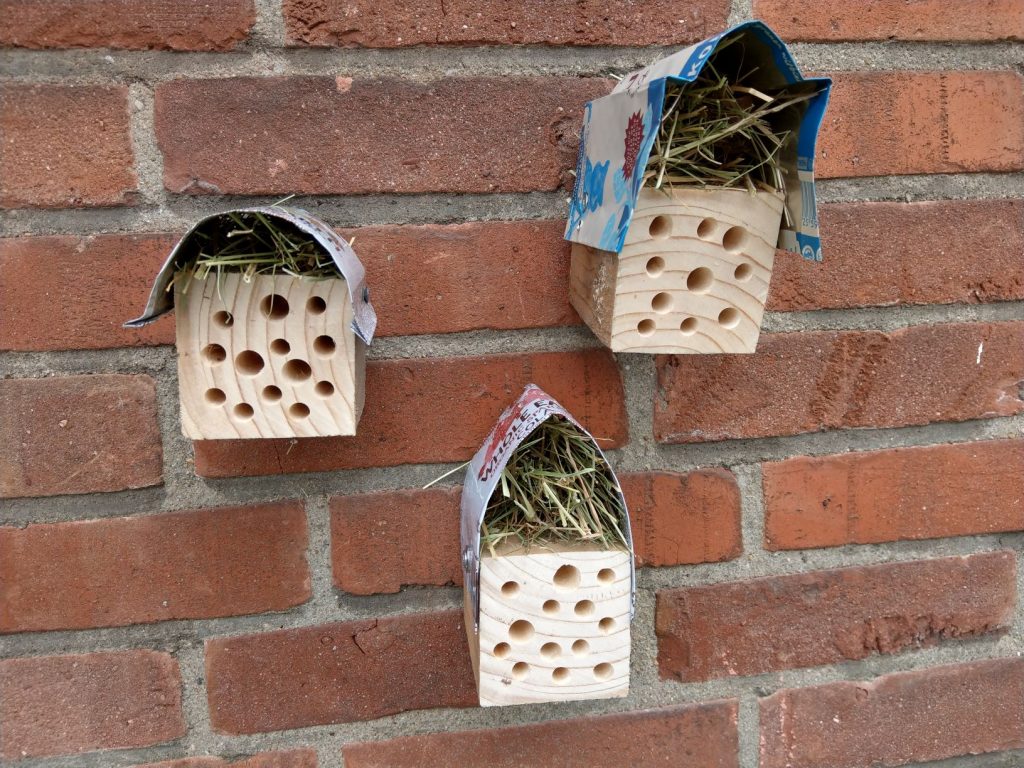 Help de bijen overwinteren met een hotel voor bijen
