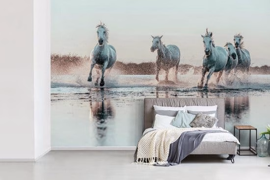 Fotobehang paarden