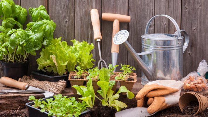 Moestuin boeken voor beginners, ook praktische handboeken en kalenders