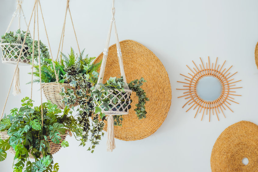 Maxifleur kunstplanten: een uitkomst voor iedereen zonder groene vingers