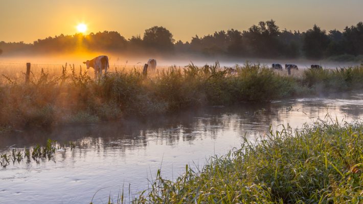 Leven en wonen in Twente: ontdek de unieke balans tussen groen en voorzieningen
