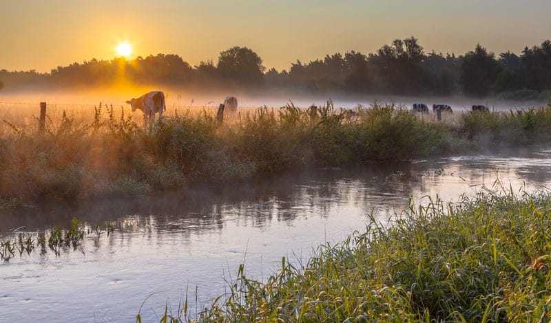 Leven en wonen in Twente: ontdek de unieke balans tussen groen en voorzieningen