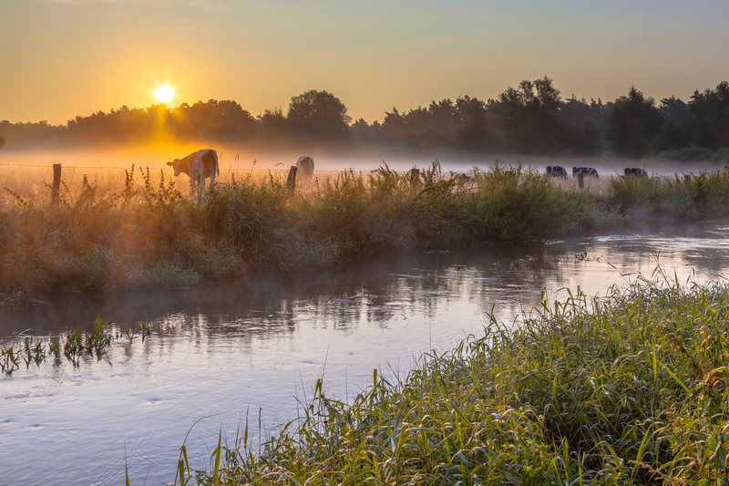 Leven en wonen in Twente: ontdek de unieke balans tussen groen en voorzieningen