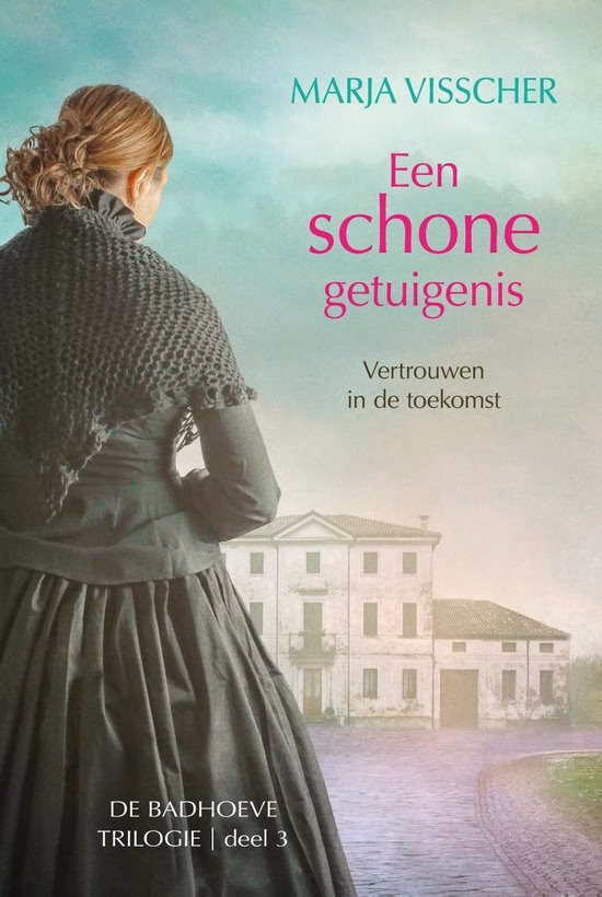 Badhoeve trilogie 3 - Een schone getuigenis + recensie