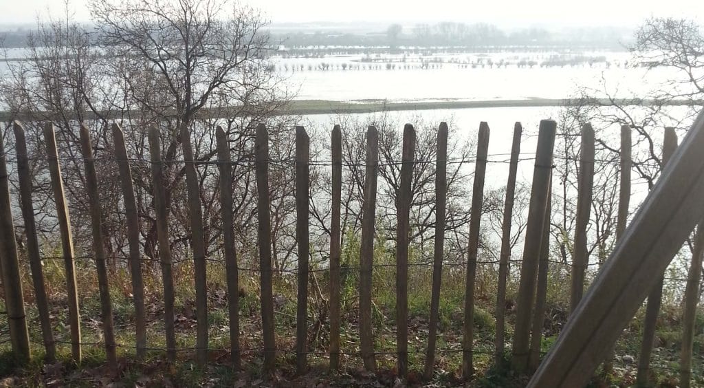 Belmonte Arboretum – Wageningen