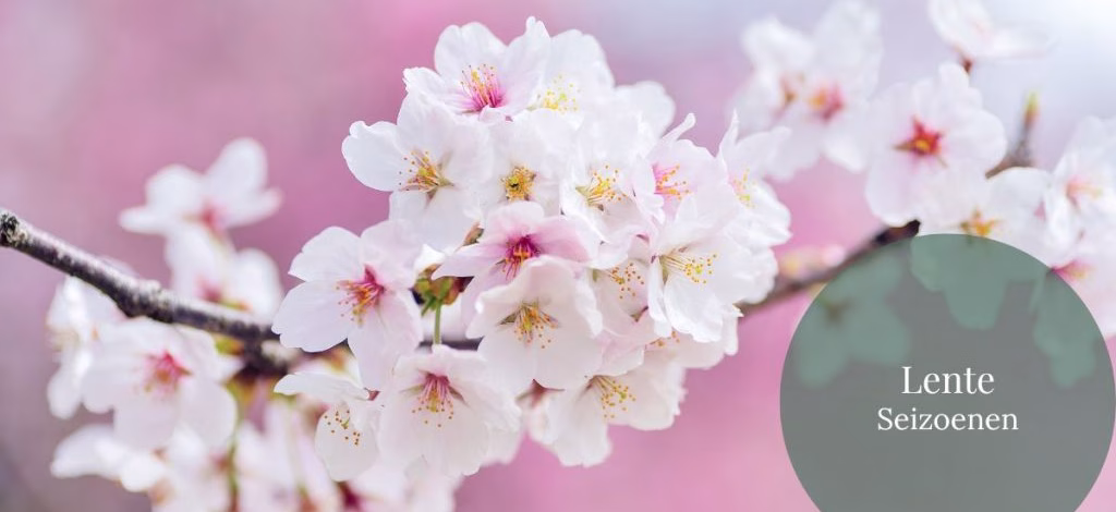 Lente - Seizoenen - GeraRaakt.nl
