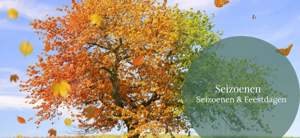 Seizoenen inspiratie - Seizoenen & Feestdagen - GeraRaakt.nl