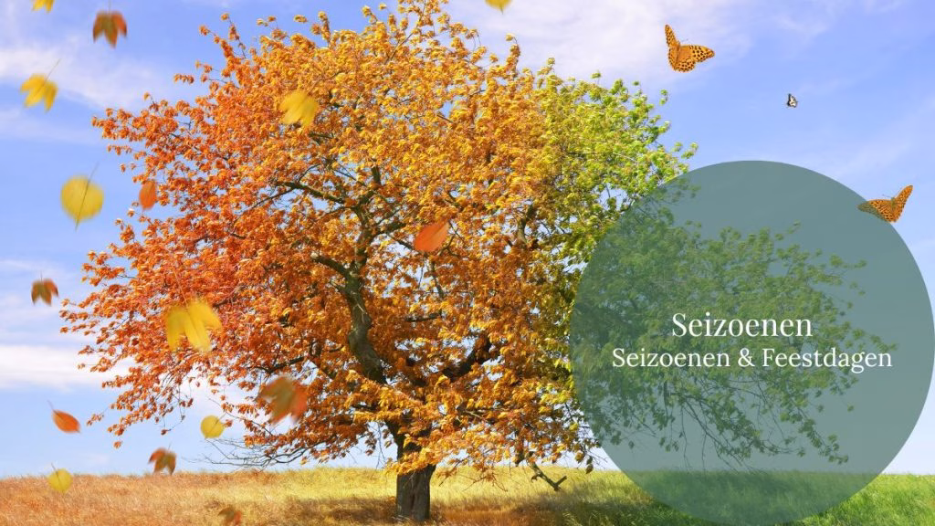 Seizoenen & Feestdagen - Tips, inspiratie en ideeën